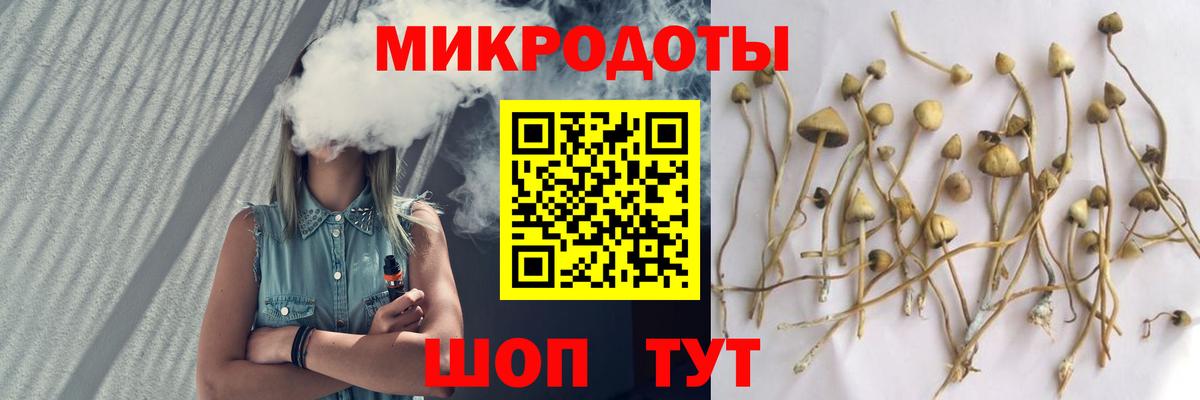 Семёнов  Галлюциногенные грибы Cubensis  Вход с VPN 